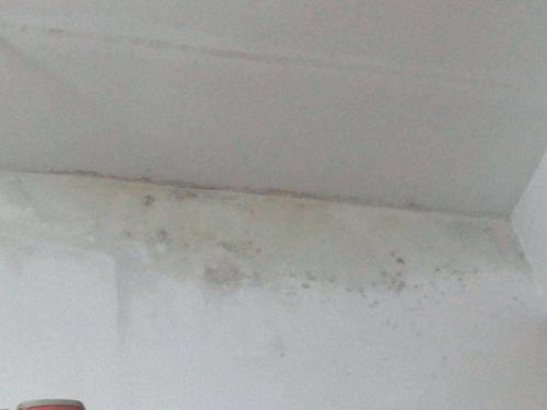低樓層房屋墻壁出現(xiàn)返潮現(xiàn)象，有哪些解決辦法?
